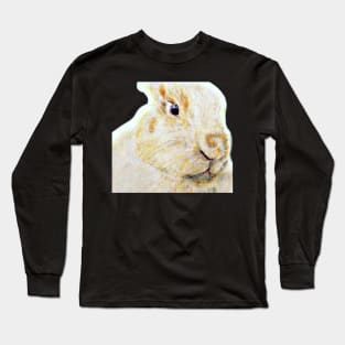 Sir Patches of FairyCastleFarm Long Sleeve T-Shirt